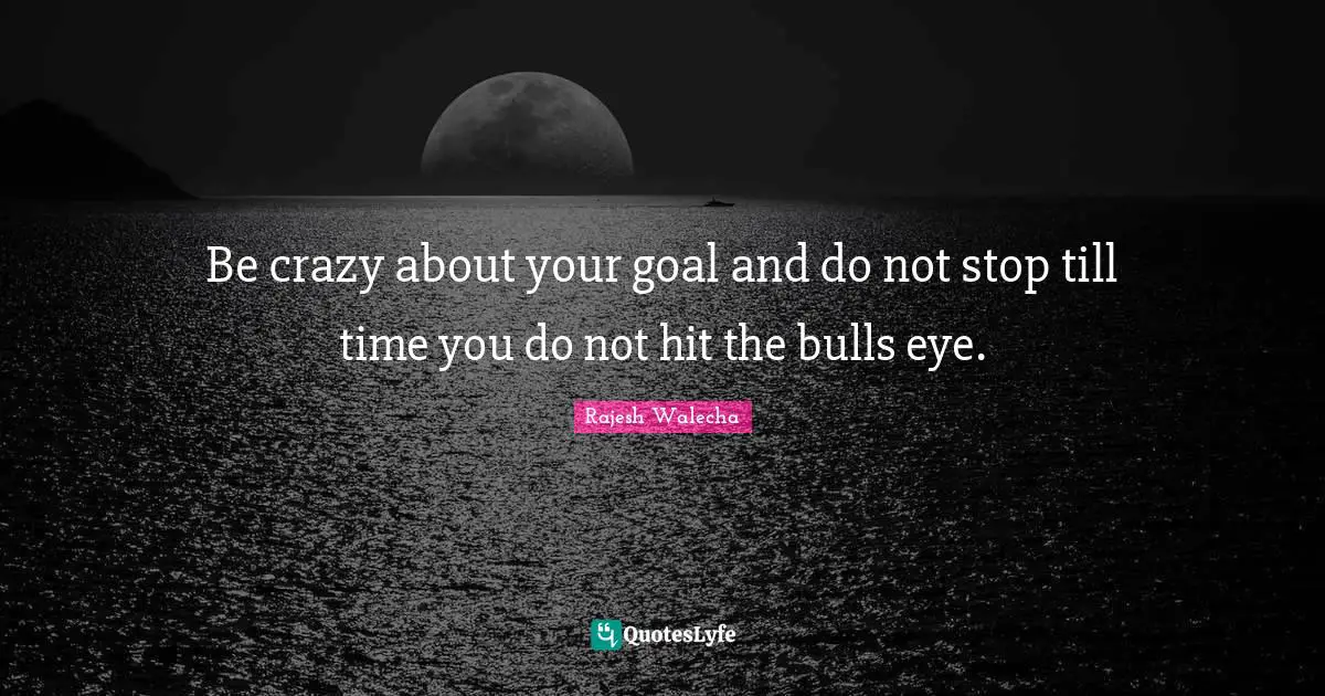 Rajesh Walecha Quotes: "Be crazy about your goal and do not stop till time you do not hit the bulls eye."