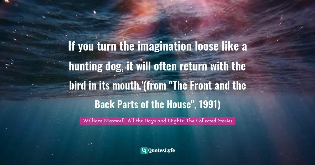 If you turn the imagination loose like a hunting dog, it will often return with the bird in its mouth.'(from "The Front and the Back Parts of the House", 1991)