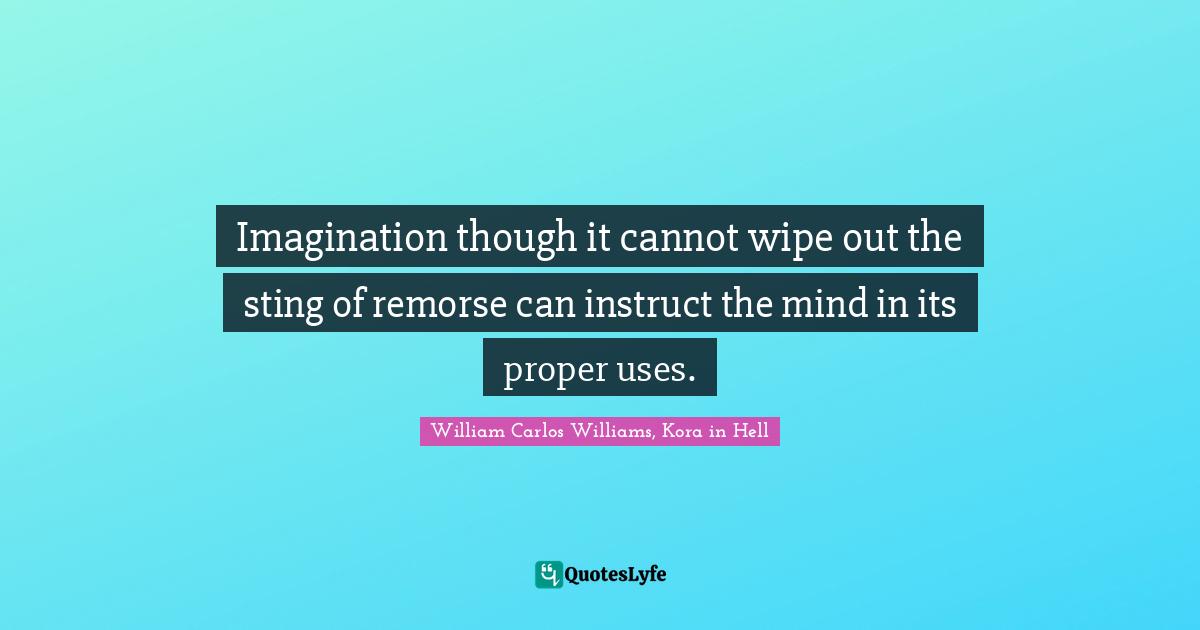 William Carlos Williams Quotes: "Imagination though it cannot wipe out the sting of remorse can instruct the mind in its proper uses."