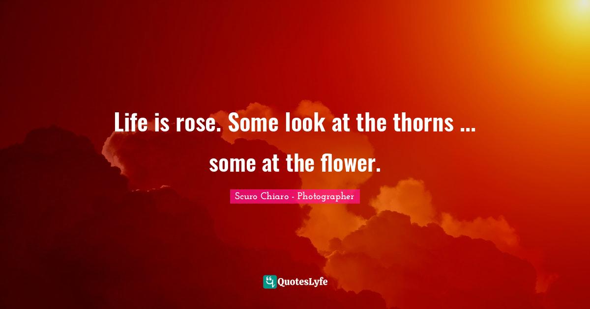 Life is rose. Some look at the thorns ... some at the flower.