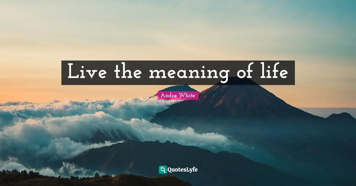 Live the meaning of life