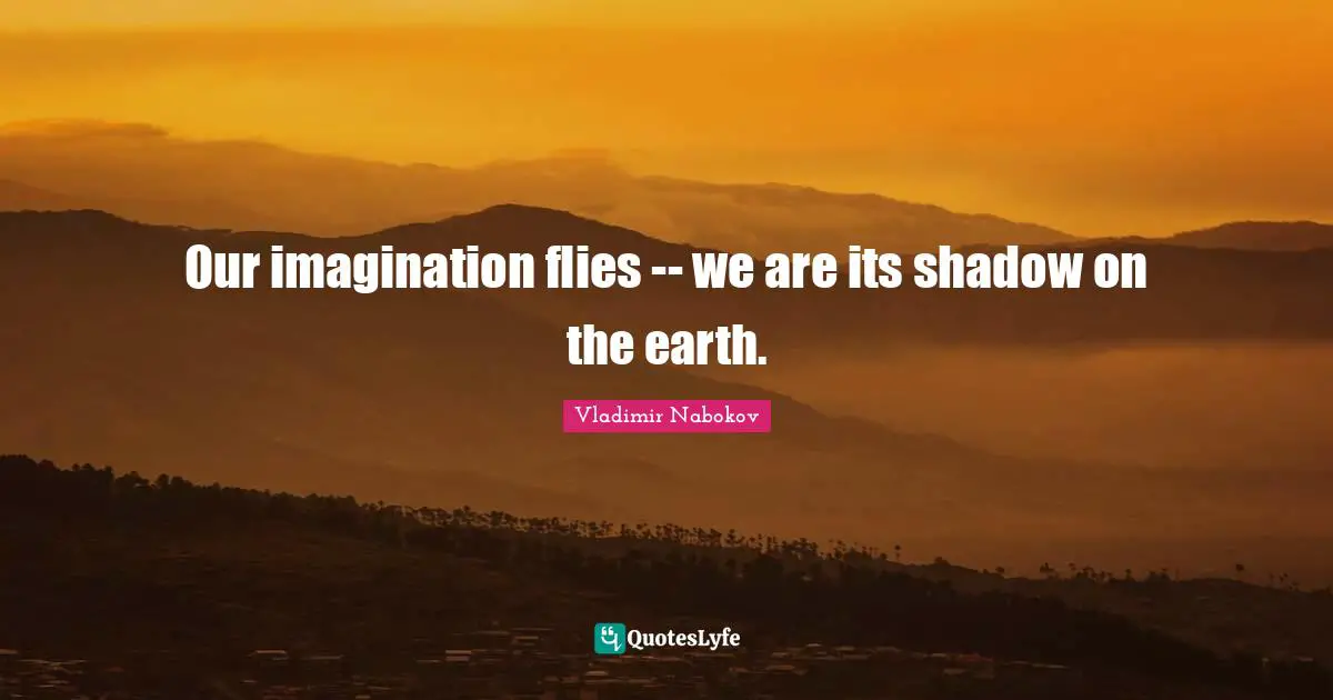 Our imagination flies -- we are its shadow on the earth.