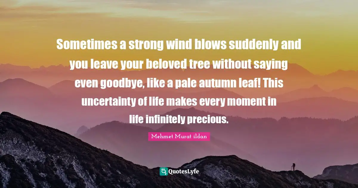 Sometimes a strong wind blows suddenly and you leave your beloved tree without saying even goodbye, like a pale autumn leaf! This uncertainty of life makes every moment in life infinitely precious.