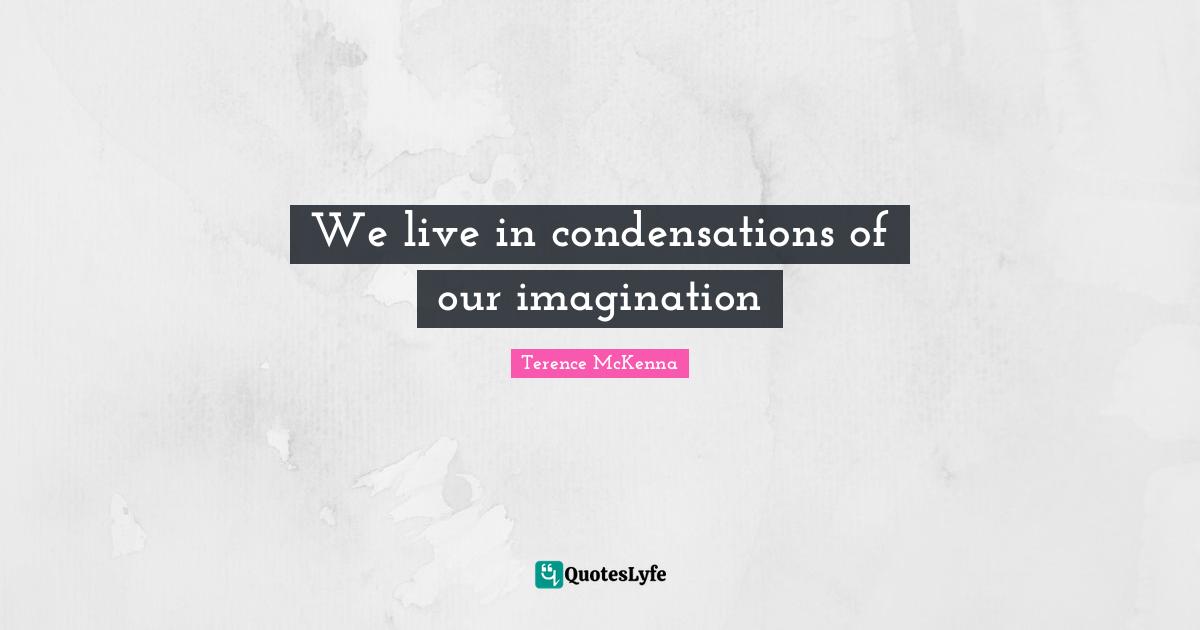 We live in condensations of our imagination