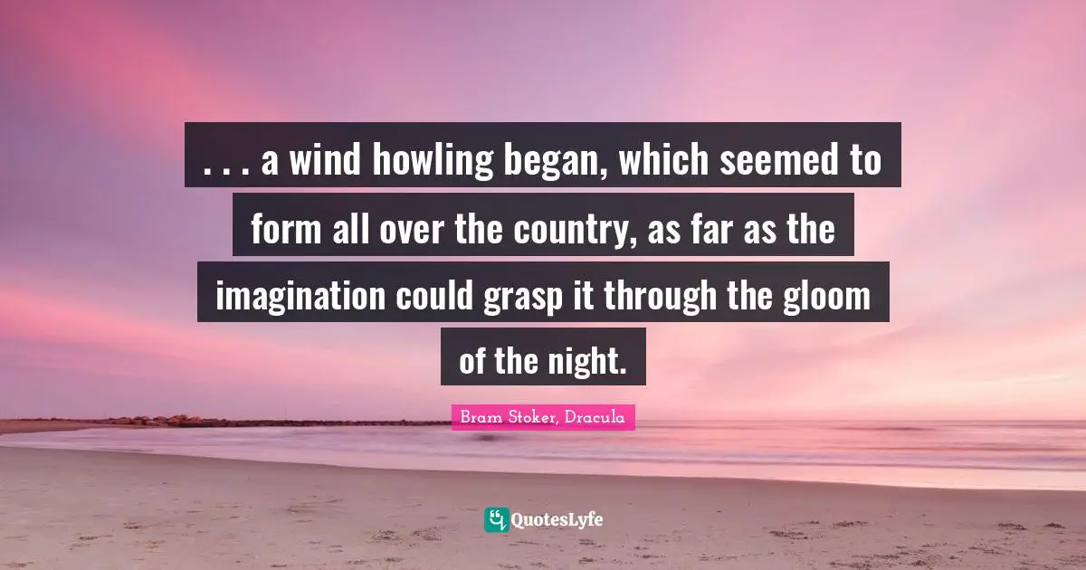 Nighttime Quotes: ". . . a wind howling began, which seemed to form all over the country, as far as the imagination could grasp it through the gloom of the night."