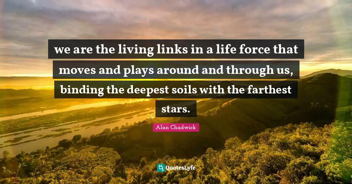 Life Philosophy Quotes: "we are the living links in a life force that moves and plays around and through us, binding the deepest soils with the farthest stars."