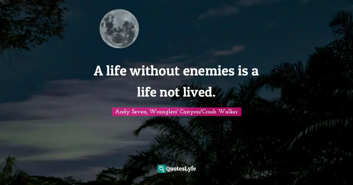 Andy Seven Quotes: "A life without enemies is a life not lived."