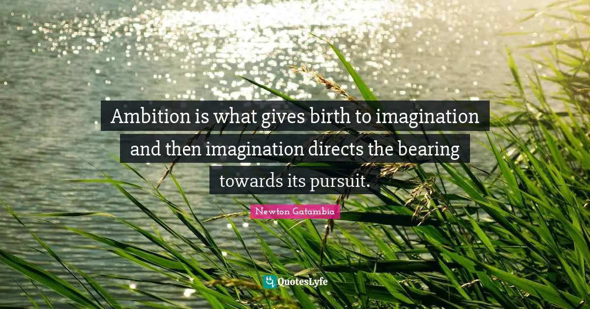 Ambition is what gives birth to imagination and then imagination directs the bearing towards its pursuit.