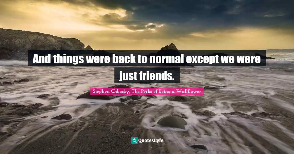 Stephen Chbosky, The Perks of Being a Wallflower Quotes: And things were back to normal except we were just friends.