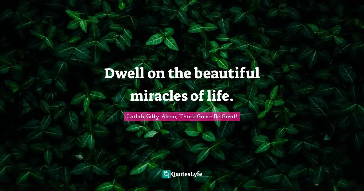 Dwell on the beautiful miracles of life.