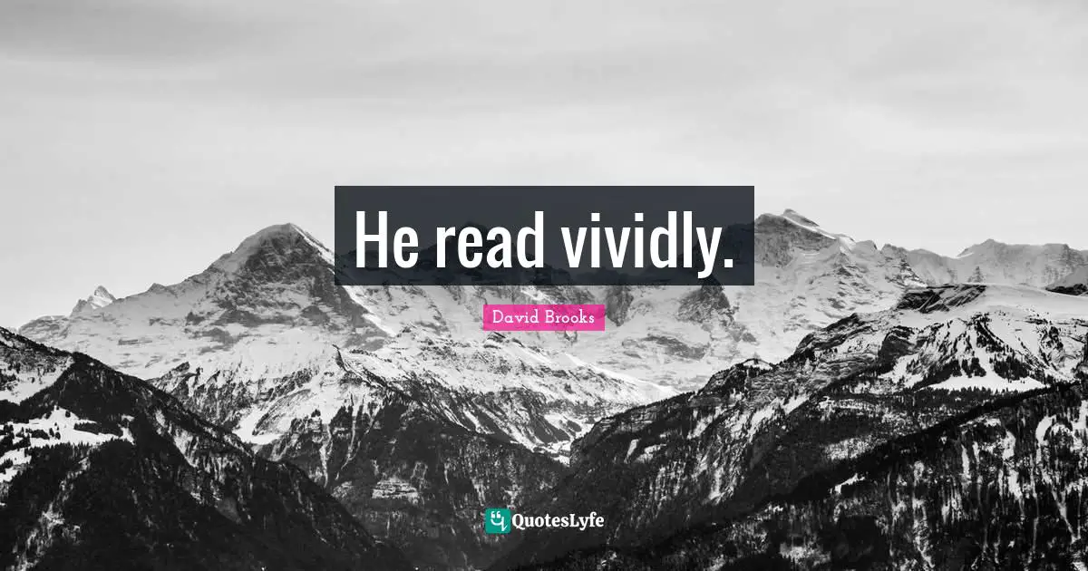 David Brooks Quotes: He read vividly.