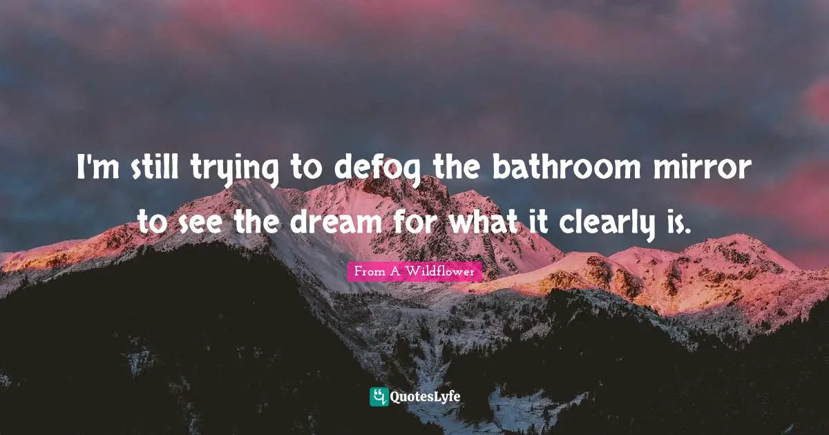 I'm still trying to defog the bathroom mirror to see the dream for what it clearly is.