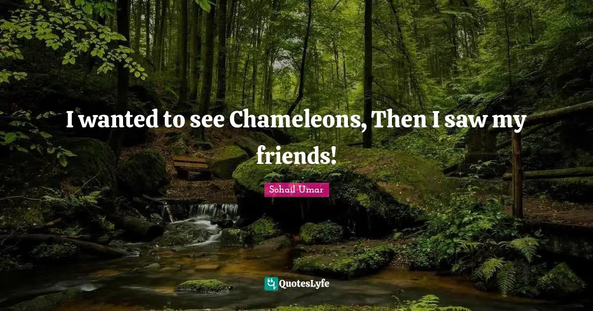 I wanted to see Chameleons, Then I saw my friends!