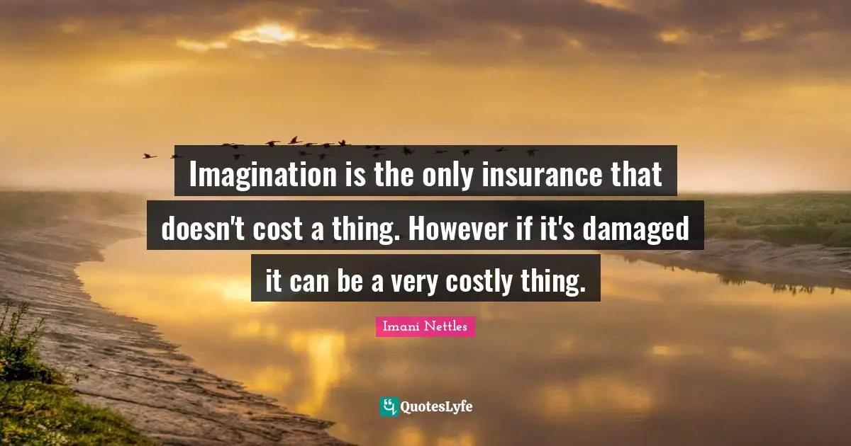 Imagination is the only insurance that doesn't cost a thing. However if it's damaged it can be a very costly thing.