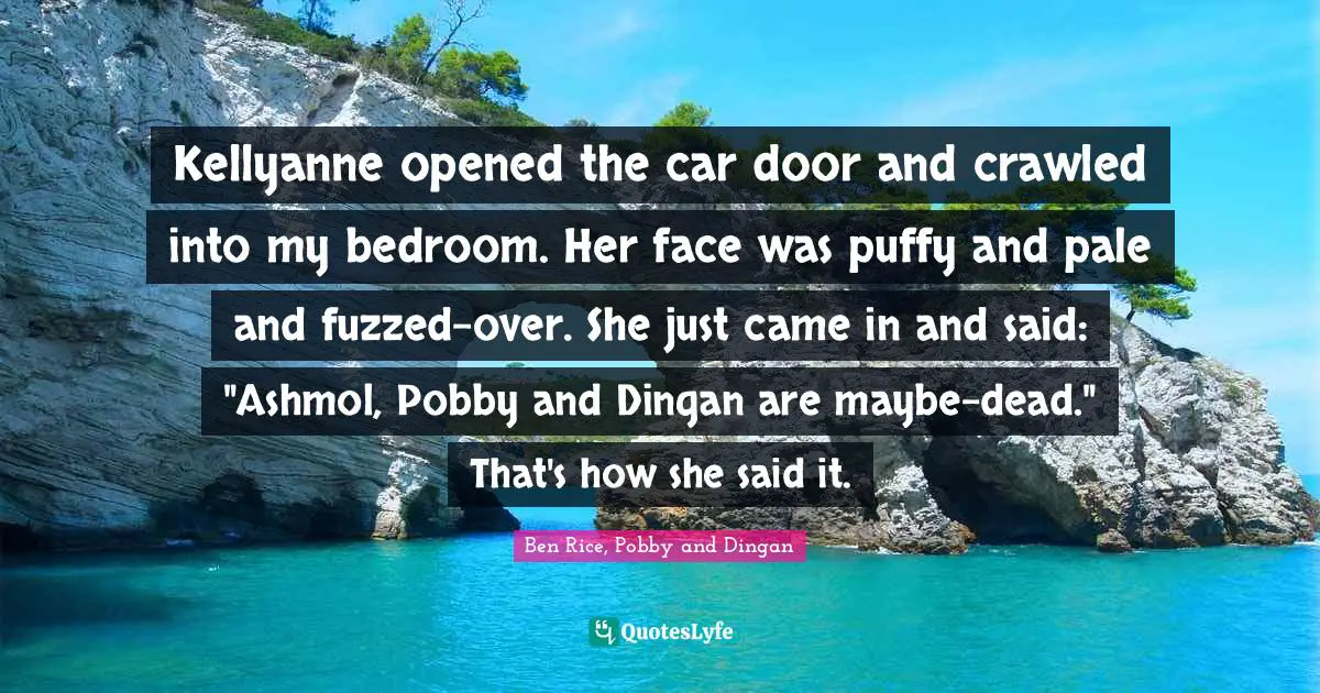 Kellyanne opened the car door and crawled into my bedroom. Her face was puffy and pale and fuzzed-over. She just came in and said: "Ashmol, Pobby and Dingan are maybe-dead." That's how she said it.