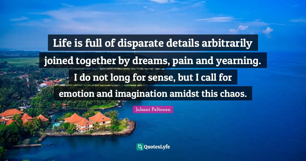 Life is full of disparate details arbitrarily joined together by dreams, pain and yearning. I do not long for sense, but I call for emotion and imagination amidst this chaos.