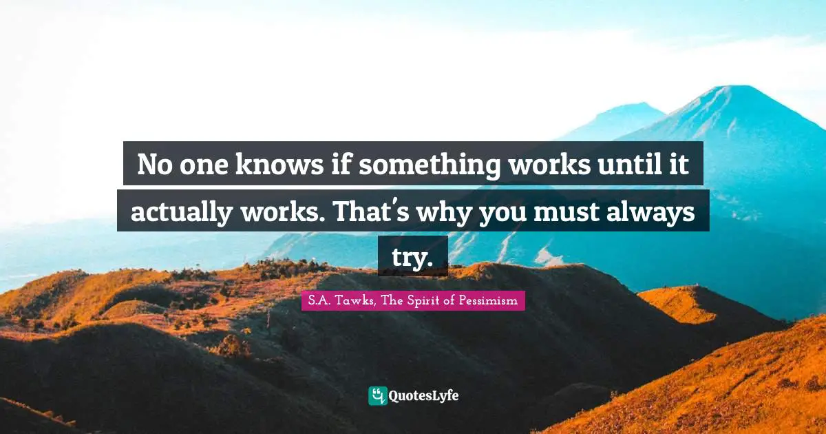 No one knows if something works until it actually works. That's why you must always try.