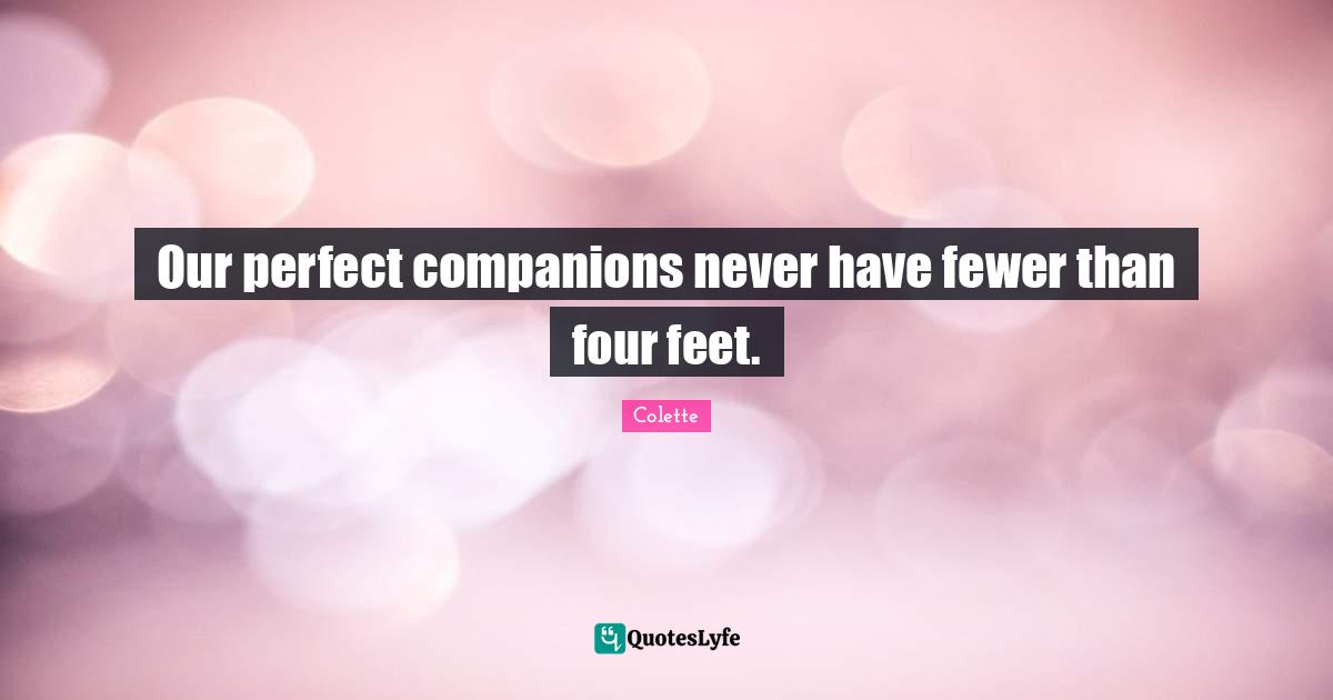 Our perfect companions never have fewer than four feet.