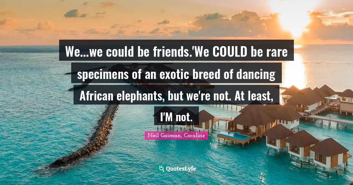 Neil Gaiman, Coraline Quotes: "We...we could be friends.'We COULD be rare specimens of an exotic breed of dancing African elephants, but we're not. At least, I'M not."