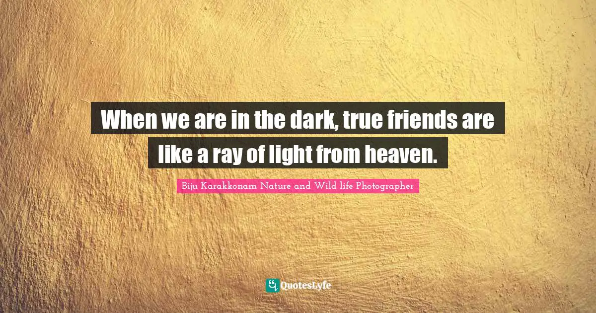 When we are in the dark, true friends are like a ray of light from heaven.