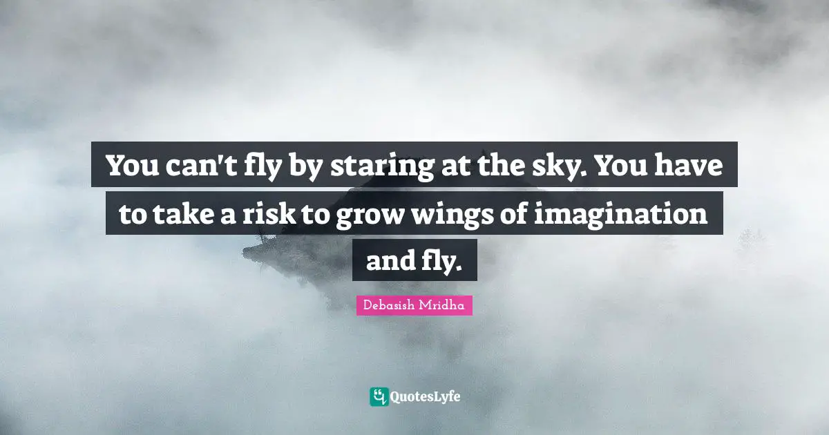 You can't fly by staring at the sky. You have to take a risk to grow wings of imagination and fly.