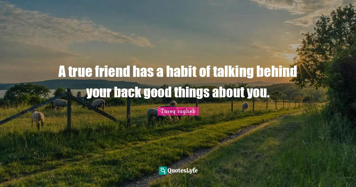 A true friend has a habit of talking behind your back good things about you.