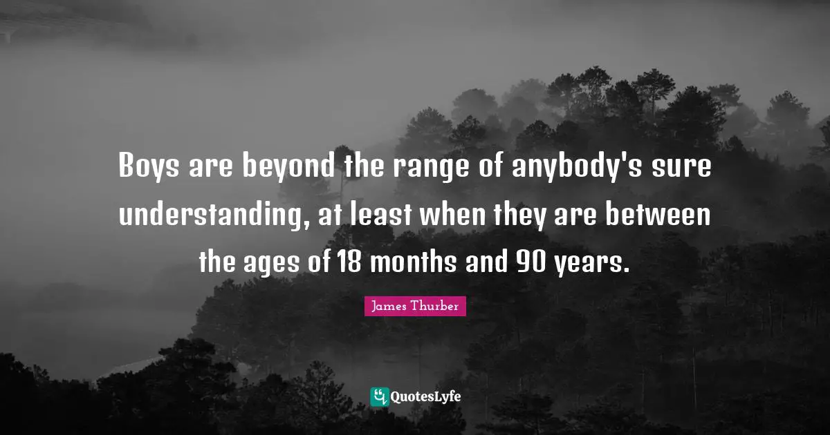 Boys are beyond the range of anybody's sure understanding, at least when they are between the ages of 18 months and 90 years.