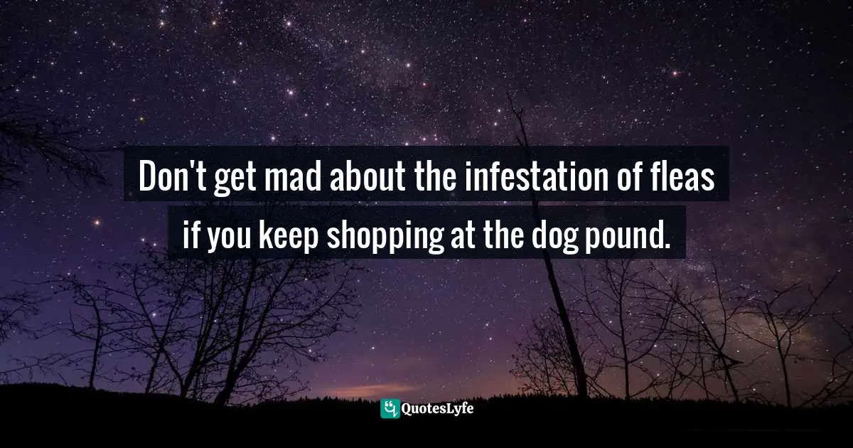 Valerie J. Lewis Coleman, The Forbidden Secrets Of The Goody Box: Relationship Advice That Your Father Didn't Tell You And Your Mother Didn't Know Quotes: "Don't get mad about the infestation of fleas if you keep shopping at the dog pound."