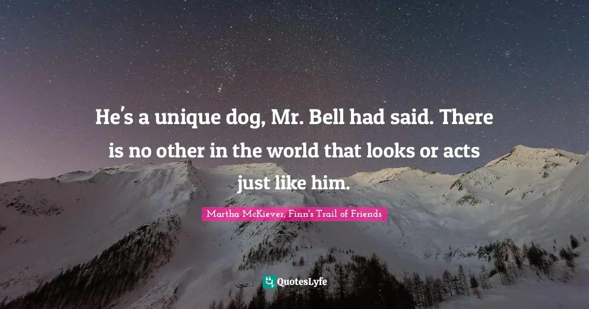 Martha McKiever, Finn's Trail of Friends Quotes: He's a unique dog, Mr. Bell had said. There is no other in the world that looks or acts just like him.