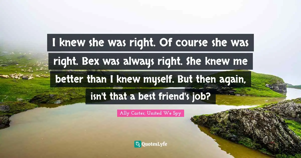 I knew she was right. Of course she was right. Bex was always right. She knew me better than I knew myself. But then again, isn't that a best friend's job?