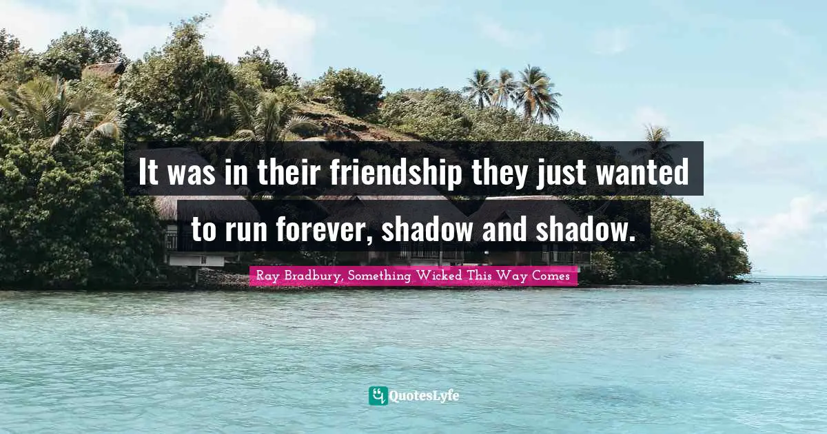 Shadows Quotes: "It was in their friendship they just wanted to run forever, shadow and shadow."