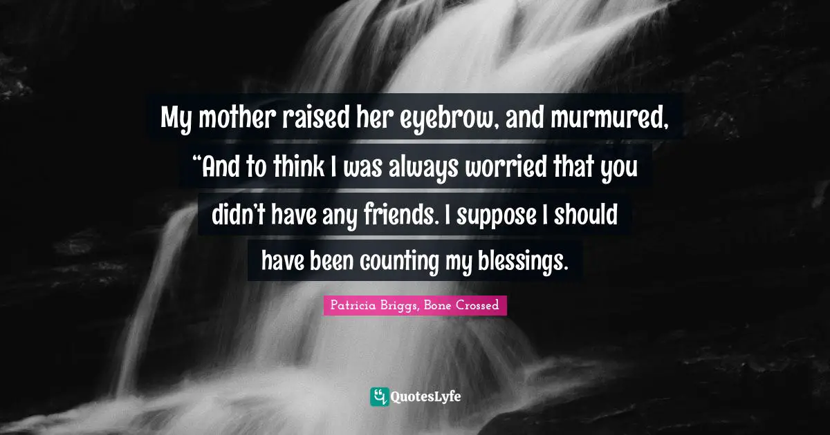 My mother raised her eyebrow, and murmured, “And to think I was always worried that you didn’t have any friends. I suppose I should have been counting my blessings.
