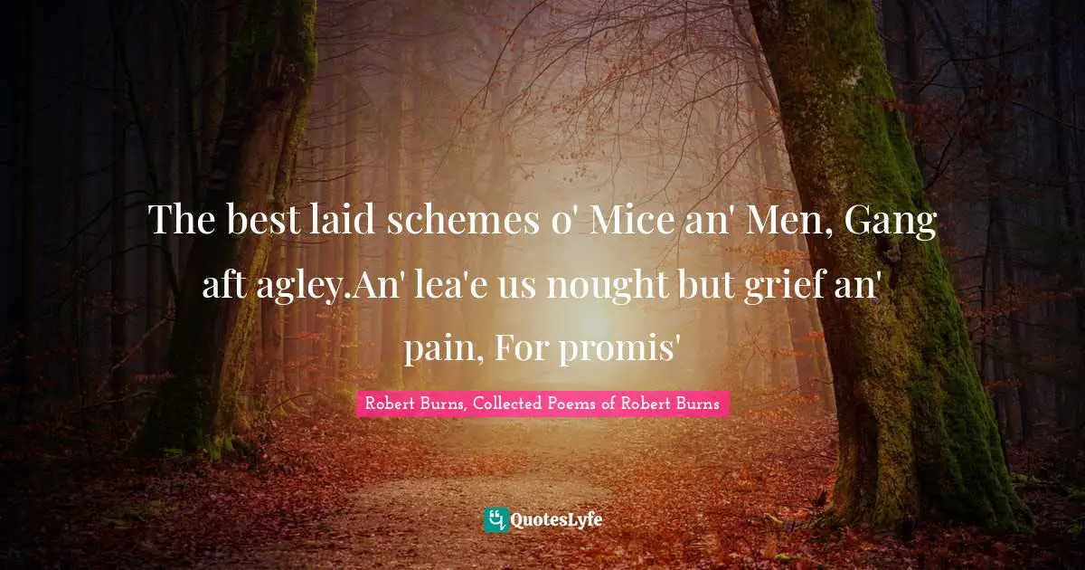 The best laid schemes o' Mice an' Men, Gang aft agley.An' lea'e us nought but grief an' pain, For promis'