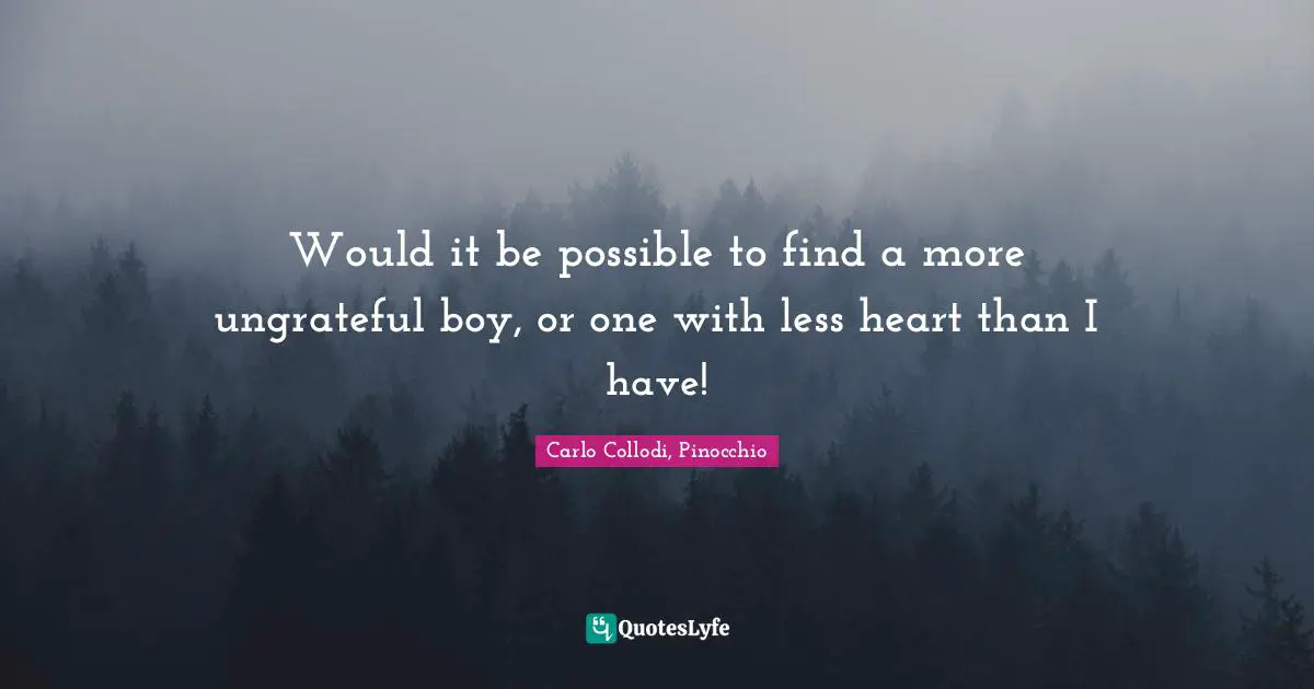 Would it be possible to find a more ungrateful boy, or one with less heart than I have!