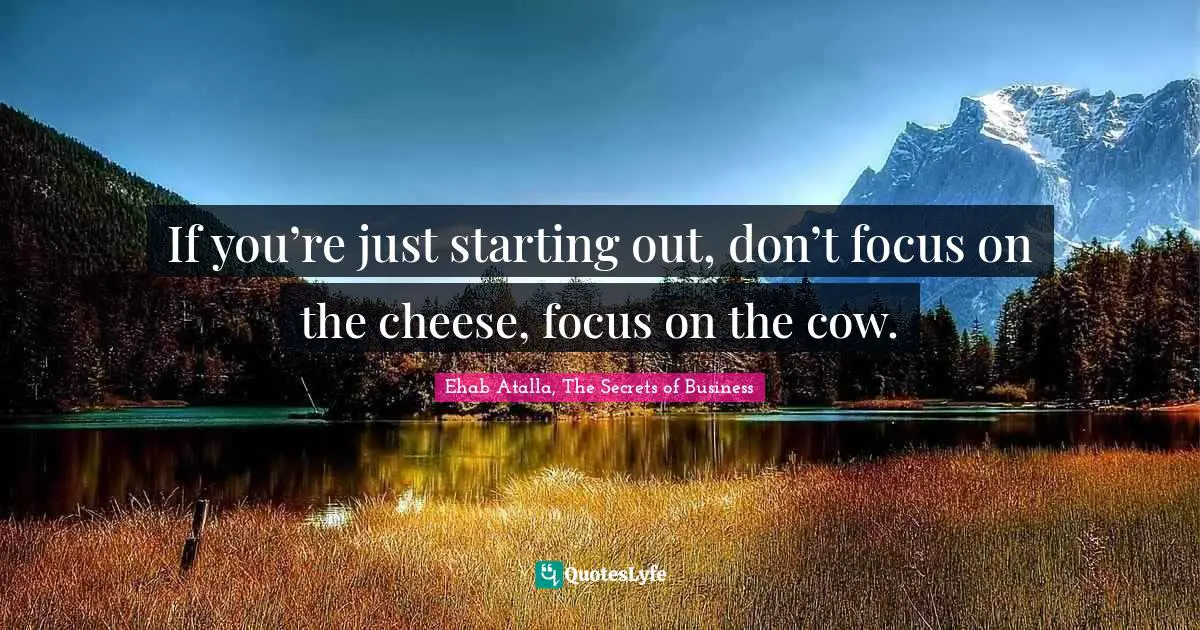 If you’re just starting out, don’t focus on the cheese, focus on the cow.