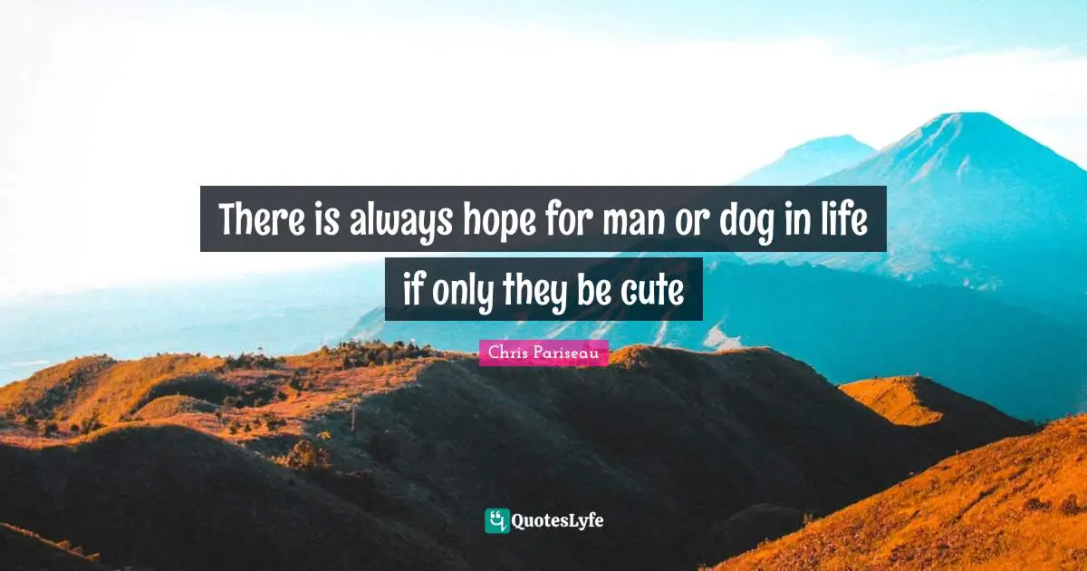 There is always hope for man or dog in life if only they be cute