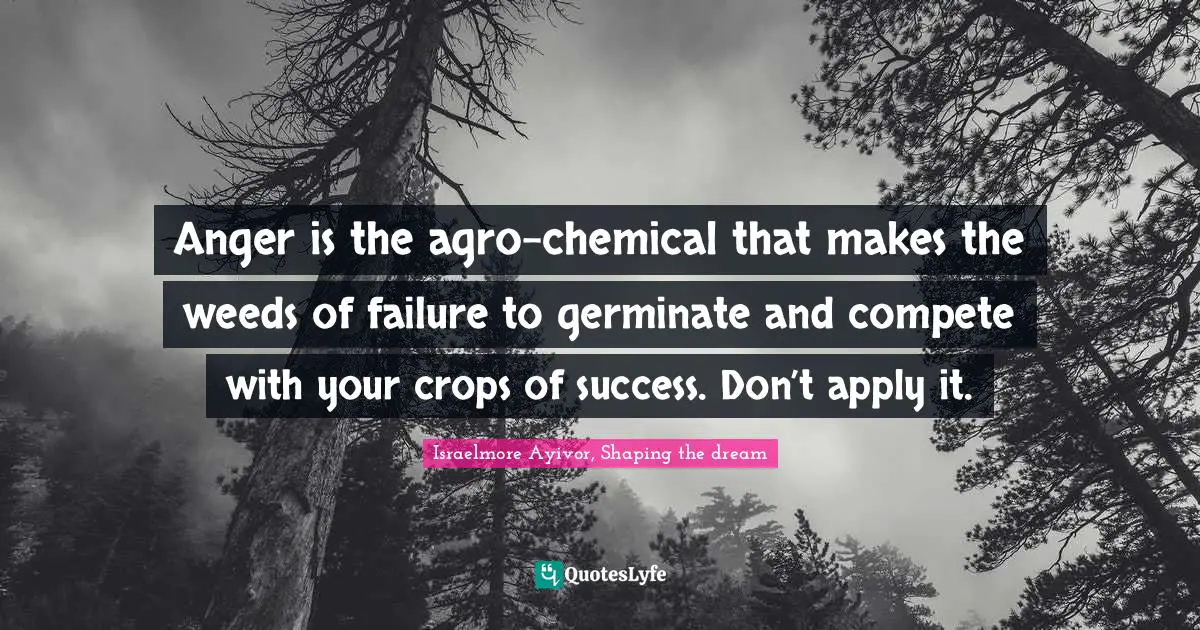 Bad Attitude Quotes: "Anger is the agro-chemical that makes the weeds of failure to germinate and compete with your crops of success. Don’t apply it."