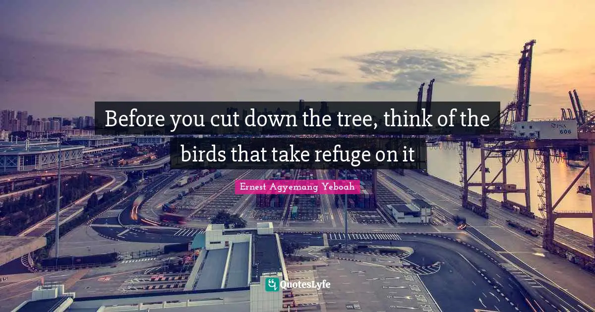 Before you cut down the tree, think of the birds that take refuge on it