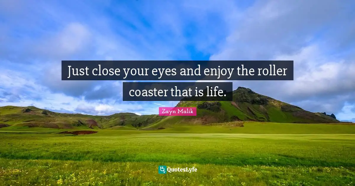 Zayn Malik Quotes: "Just close your eyes and enjoy the roller coaster that is life."