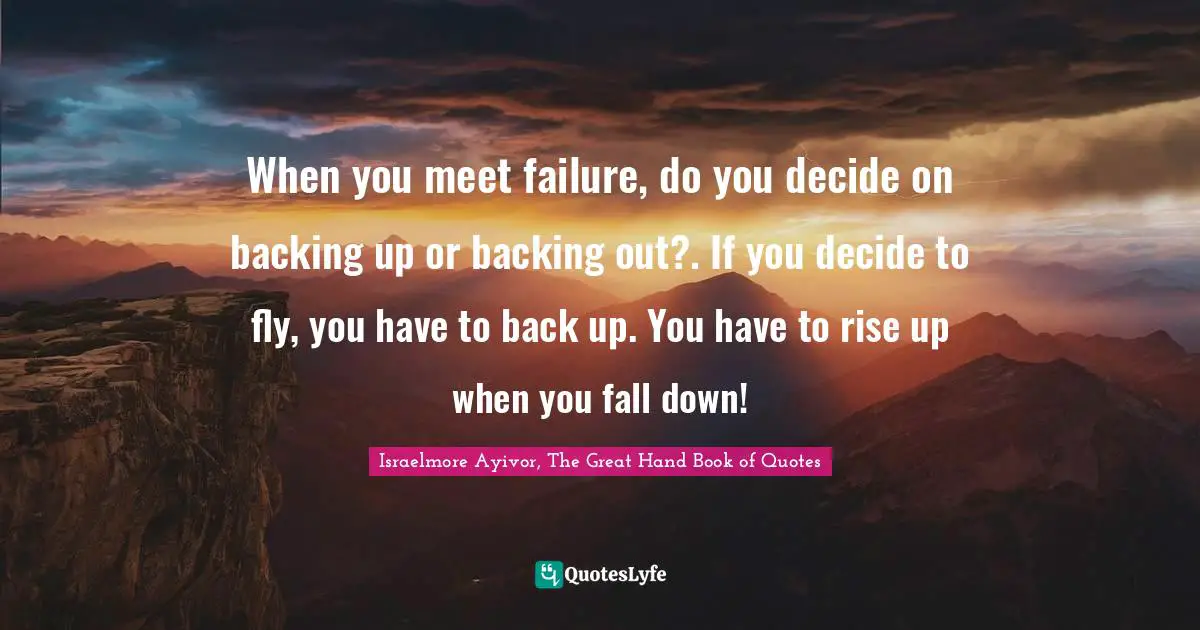 Rise Up Quotes: "When you meet failure, do you decide on backing up or backing out?. If you decide to fly, you have to back up. You have to rise up when you fall down!"