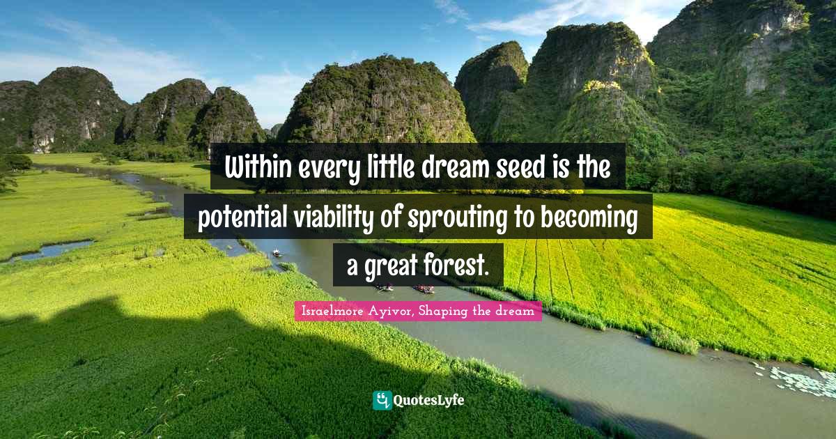 Within every little dream seed is the potential viability of sprouting