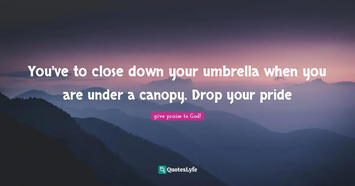 You've to close down your umbrella when you are under a canopy. Drop your pride