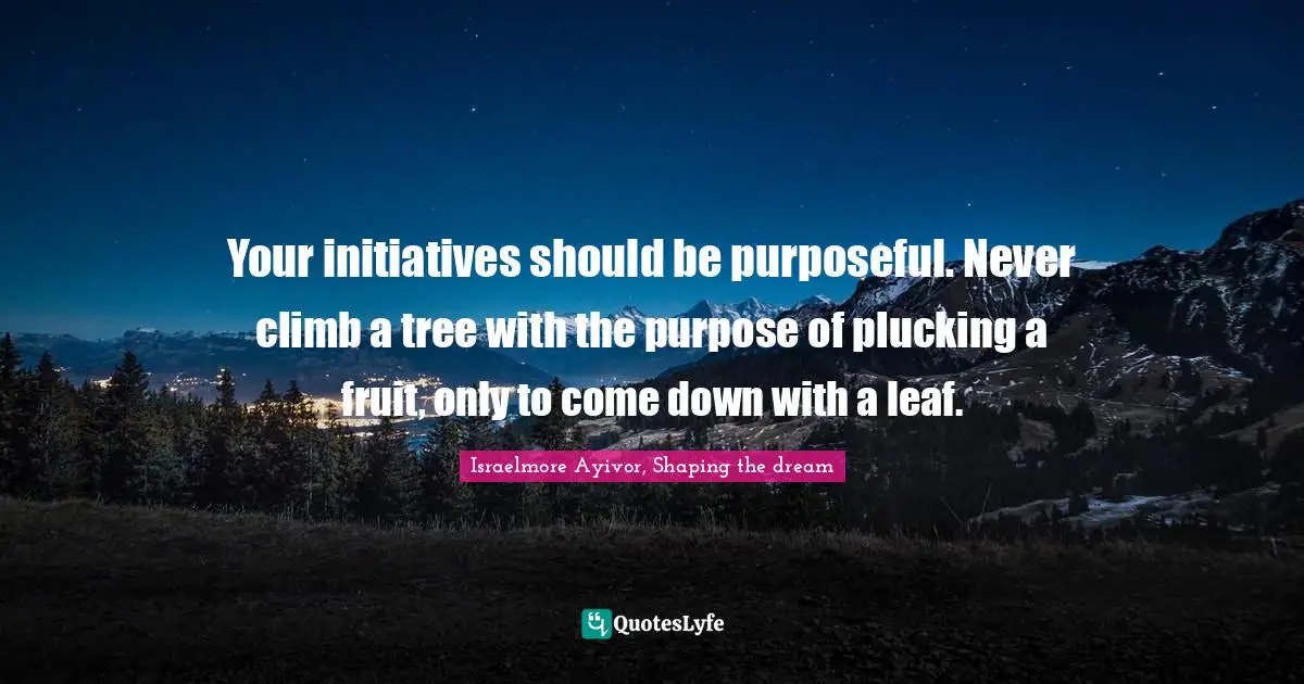 Your initiatives should be purposeful. Never climb a tree with the purpose of plucking a fruit, only to come down with a leaf.