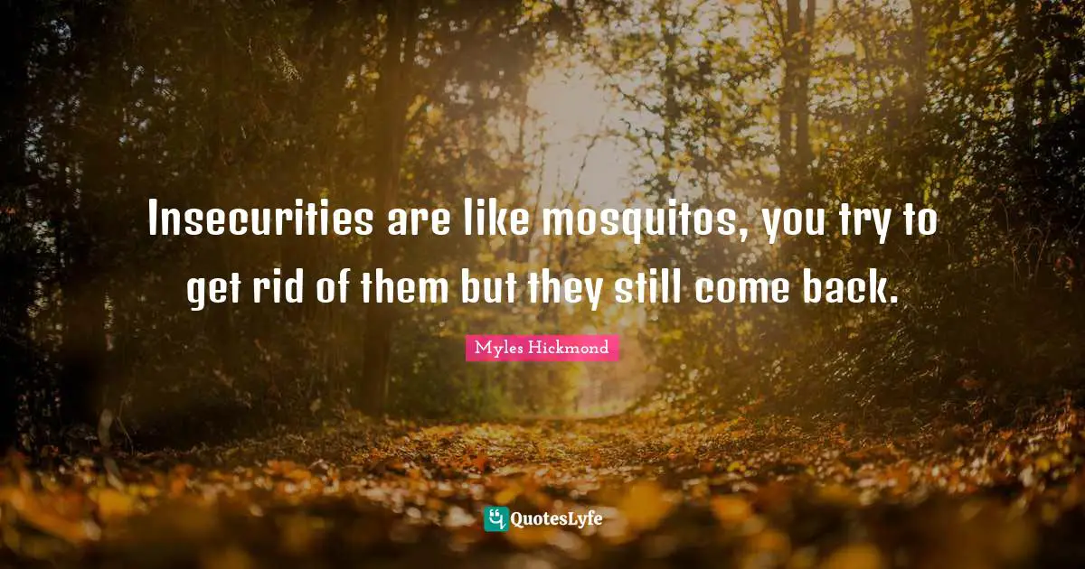 Insecurities are like mosquitos, you try to get rid of them but they still come back.