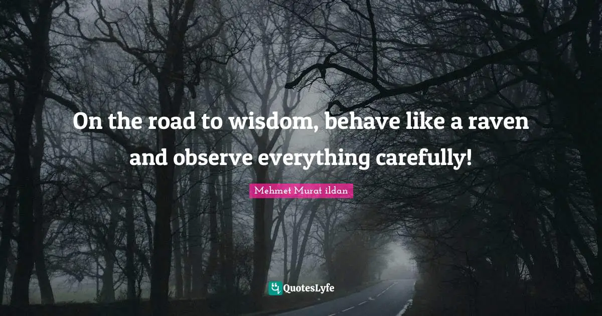 On the road to wisdom, behave like a raven and observe everything carefully!
