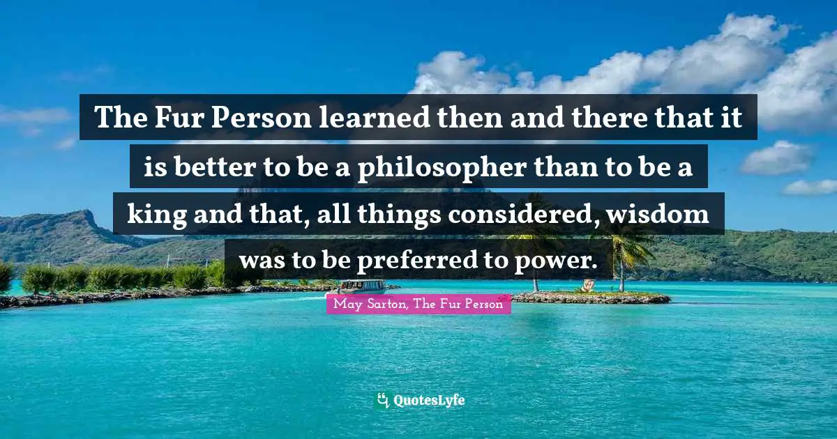 The Fur Person learned then and there that it is better to be a philosopher than to be a king and that, all things considered, wisdom was to be preferred to power.