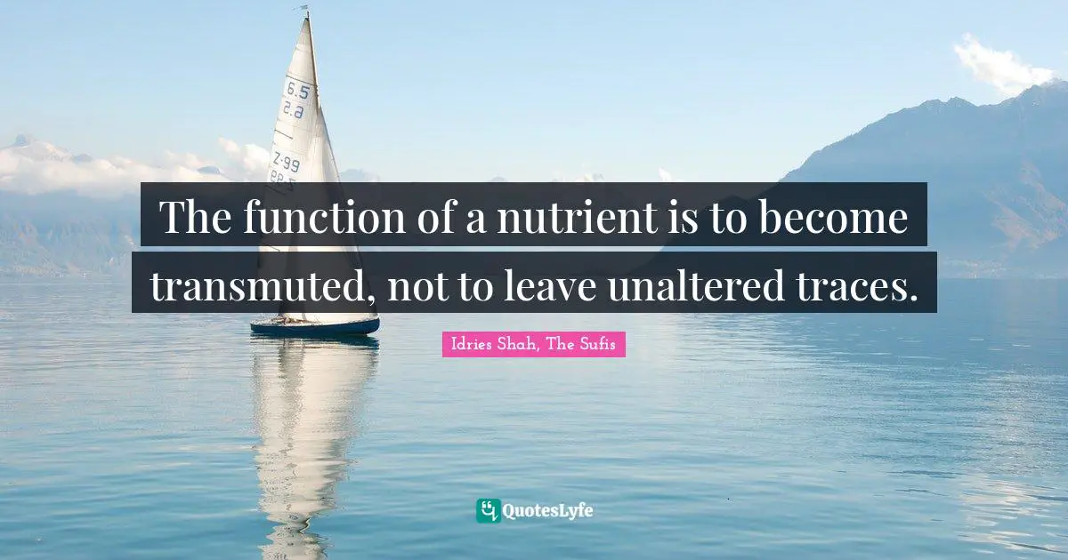 The function of a nutrient is to become transmuted, not to leave unaltered traces.