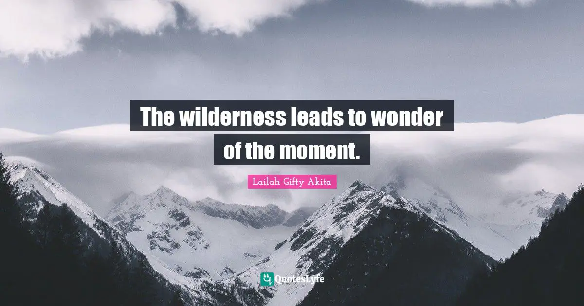 The wilderness leads to wonder of the moment.