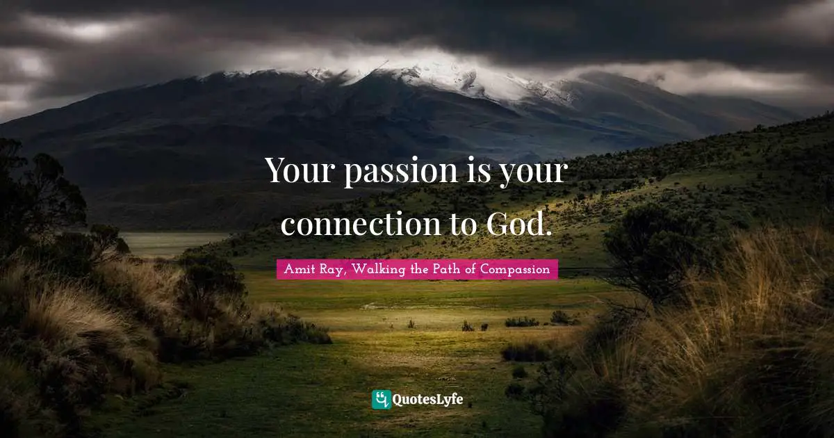 Amit Ray, Walking the Path of Compassion Quotes: Your passion is your connection to God.
