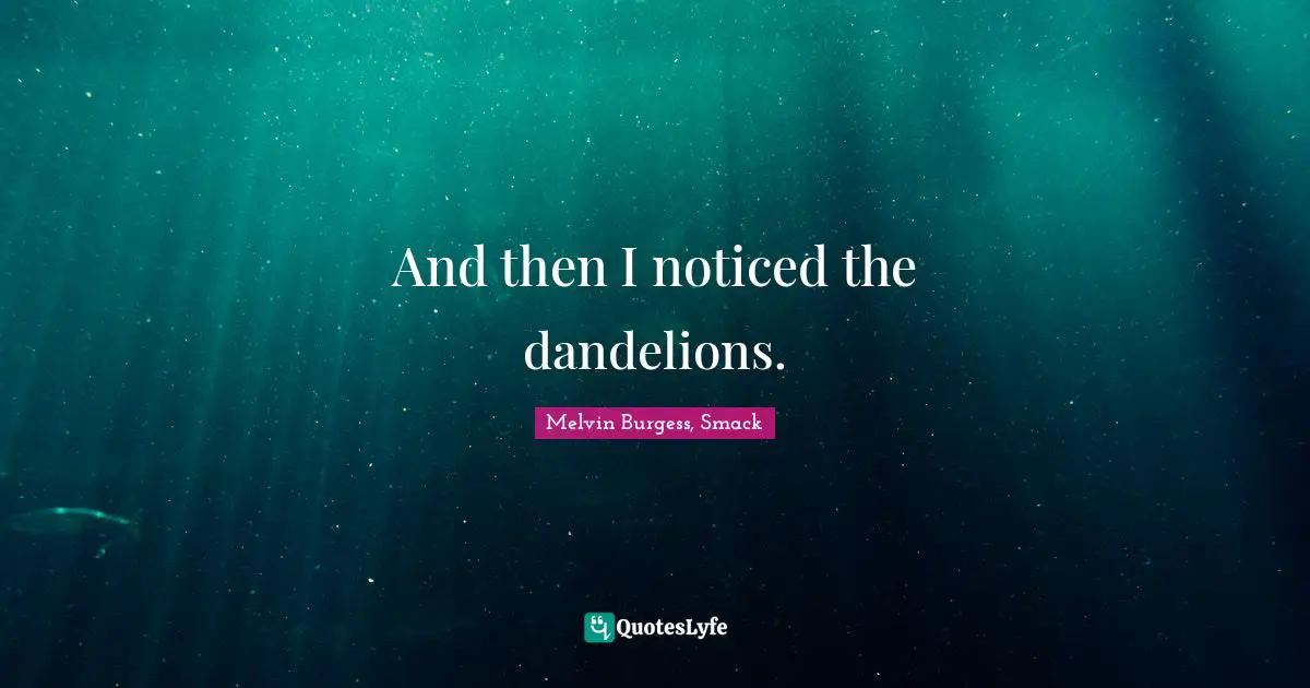 And then I noticed the dandelions.